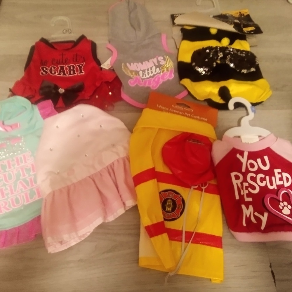 Colorful Pet Costume Collection